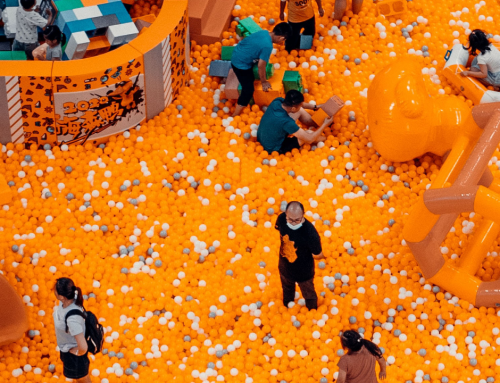 The World’s Largest Ball Pit!